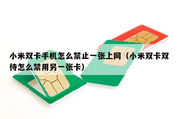 小米双卡手机怎么禁止一张上网（小米双卡双待怎么禁用另一张卡）